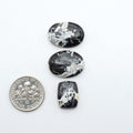 White Buffalo stone cabochons, white stone with black matrix, polished stones on a white background, with a US dime for scale