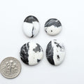 White Buffalo stone cabochons, white stone with black matrix, polished stones on white background with US dime for scale