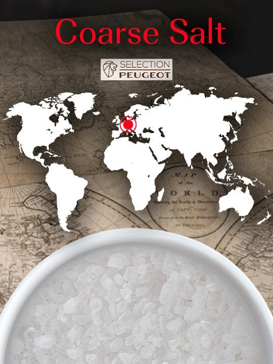 Peugeot German White Rock Salt for Cooking 350g - touchGOODS
